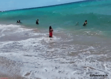 Bord de Mer Lieux - Nature Humour - Fun 