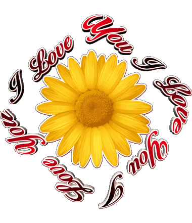 02 I Love You Englisch Nachrichten 