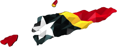 Carte Timor Oriental Asie Drapeaux 