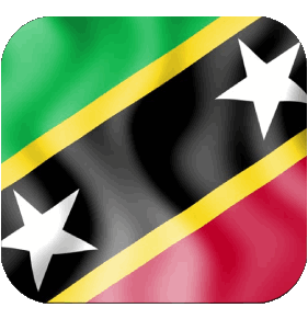 Quadrato 2 Saint Kitts e Nevis America Bandiere 