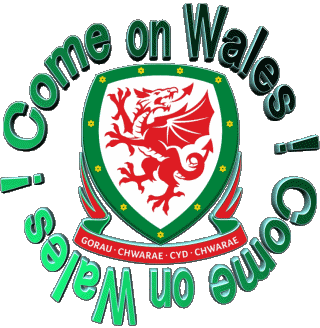 Soccer Come on Wales Englisch Nachrichten 