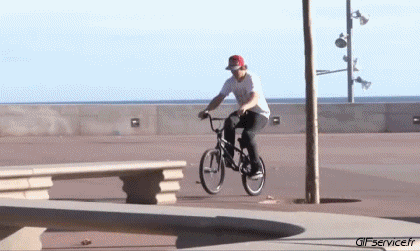 Fun Win BMX Sport Humor -  Fun 