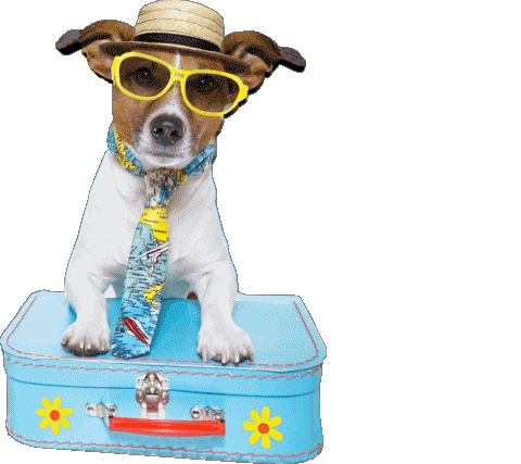 29 Fond Transparent Buone Vacanze Italien Messages 