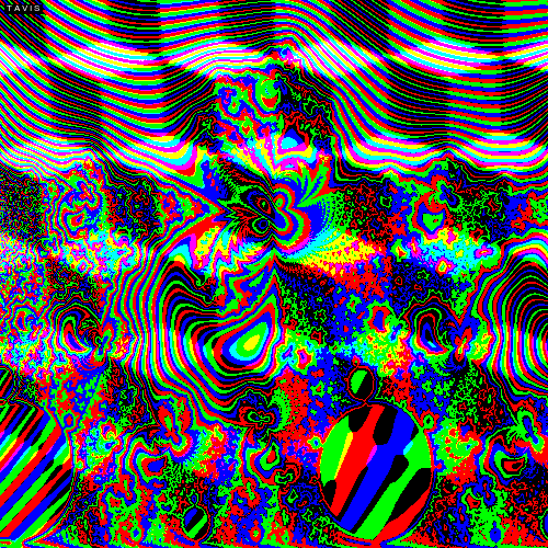 Bill Tavis GIF Artistes Humour - Fun 