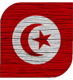 Square Tunisia Africa Flags 