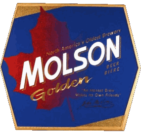 Molson Canada Beers Drinks 