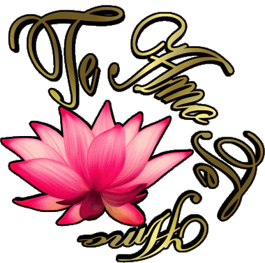 03 Te Amo Spanish Messages 