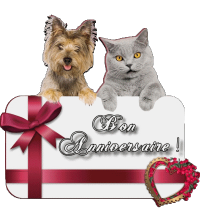 005 Animaux Bon Anniversaire Francés Mensajes 