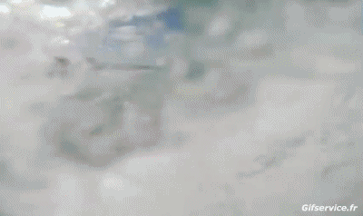 Fun - Win Surf Sport Humor -  Fun 