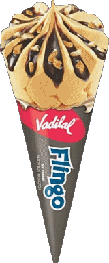 Vadilal Glaces Nourriture 