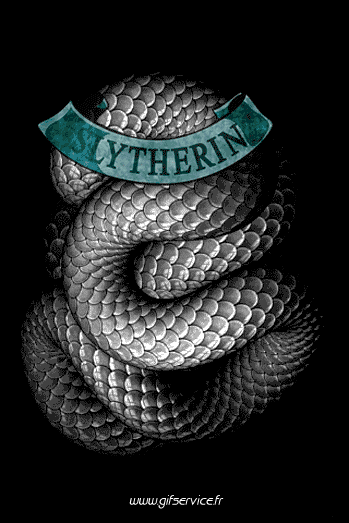 01 Serpenti Animali Umorismo -  Fun 