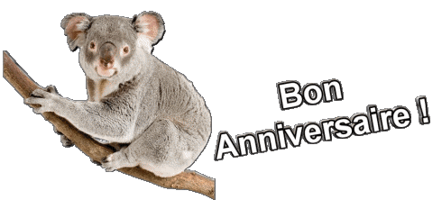 013 Animaux Bon Anniversaire French Messages 