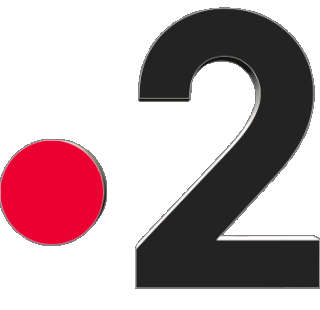 Logo France 2 Chaines -  TV France Multi Média 