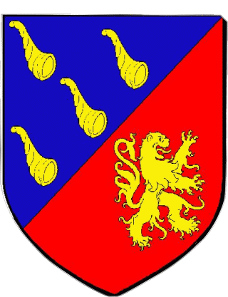 CALUIRE ET CUIRE 69 Dipartimenti - Città Francia Bandiere 