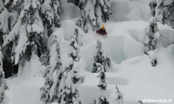 Free Ride Fun Win Ski Sports Humor -  Fun 