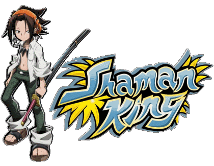 Shaman King Manga Multi Média 