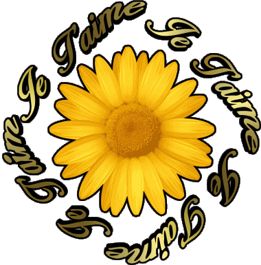 03 Je T'aime Français Messages 