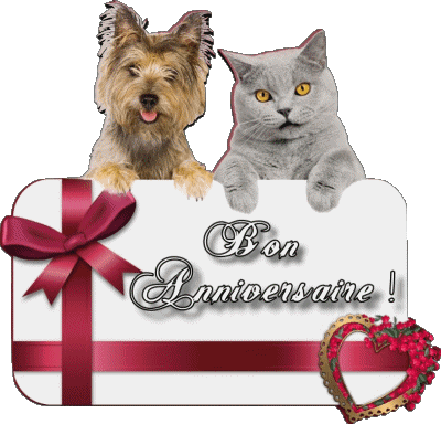 005 Animaux Bon Anniversaire Französisch Nachrichten 