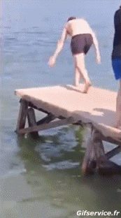 Serie 04 Chiens Animaux Humour - Fun 