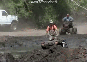 Fail Quad Transport Humor -  Fun 