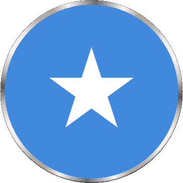 Rond Somalie Afrique Drapeaux 