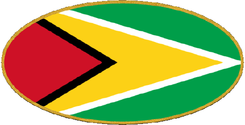 Oval Guyana America Flags 