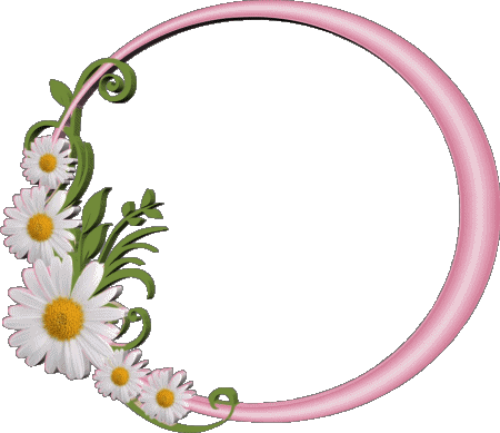 021 Transparenter Hintergrund Floral Bon Anniversaire Französisch Nachrichten 