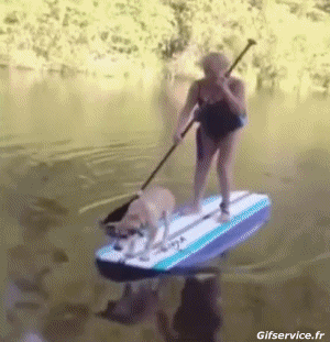 Stürze - Fail Paddle Sport Humor -  Fun 