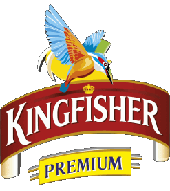 Kingfisher Indien Bier Getränke 