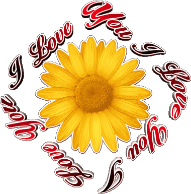 02 I Love You Englisch Nachrichten 