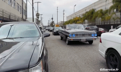 Lowriding Cars Transport Humor -  Fun 