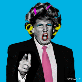 Donald Trump Politique - International PERSONNAGES Humour - Fun 