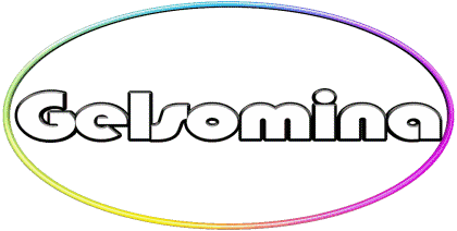 Gelsomina G WEIBLICH - Italien Vorname 