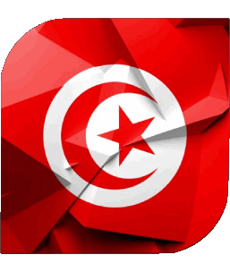 Carré Tunisie Afrique Drapeaux 