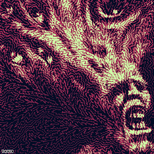 Bill Tavis GIF Artistes Humour - Fun 