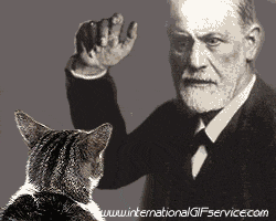 01 Cats Animals Humor -  Fun 