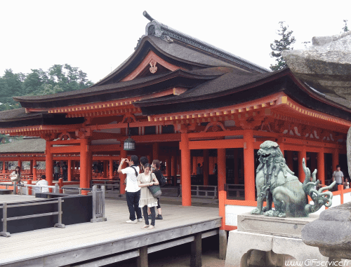 Stéreoscopique Wiggle 3D Effets Humour - Fun 