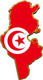 Carte Tunisie Afrique Drapeaux 