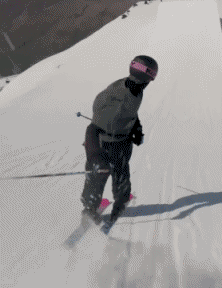 Free Style Fun Win Ski Sports Humour - Fun 