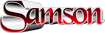 Samson S MASCULINE - France First Names 