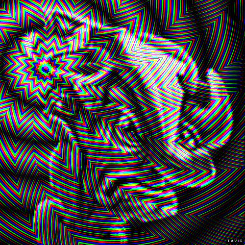 Bill Tavis GIF Artists Humor -  Fun 