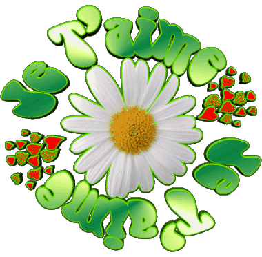 05 Je T'aime Francese Messagi 