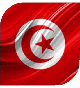 Carré Tunisie Afrique Drapeaux 