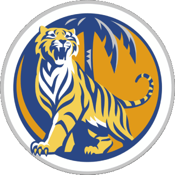 Tiger Singapore Beers Drinks 