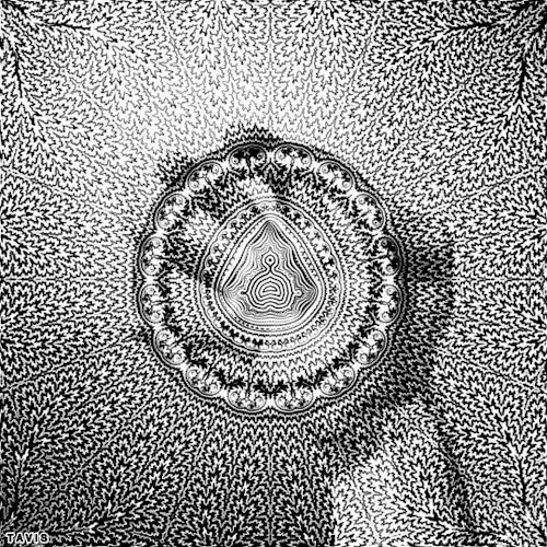 Bill Tavis GIF Künstler Humor -  Fun 