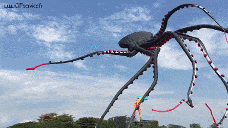 01 Octopus Animals Humor -  Fun 