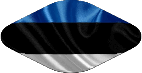 Ovale Estonie Europe Drapeaux 