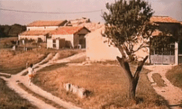 Les Fous du Stade - Vidéo Les Charlots Películas Francia Multimedia 