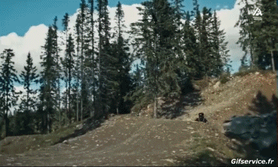 Fun - Win 02 Mountainbiking Sport Humor -  Fun 