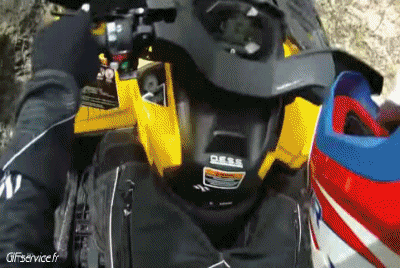 Fun - Win Quad Transport Humor -  Fun 